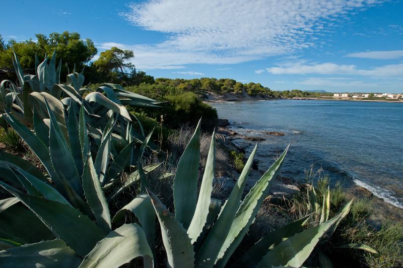Casitas De Pescadores El Estanyol Kültér fotó